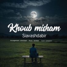 آهنگ جدید سیاوش دبیر به نام خوب میشم